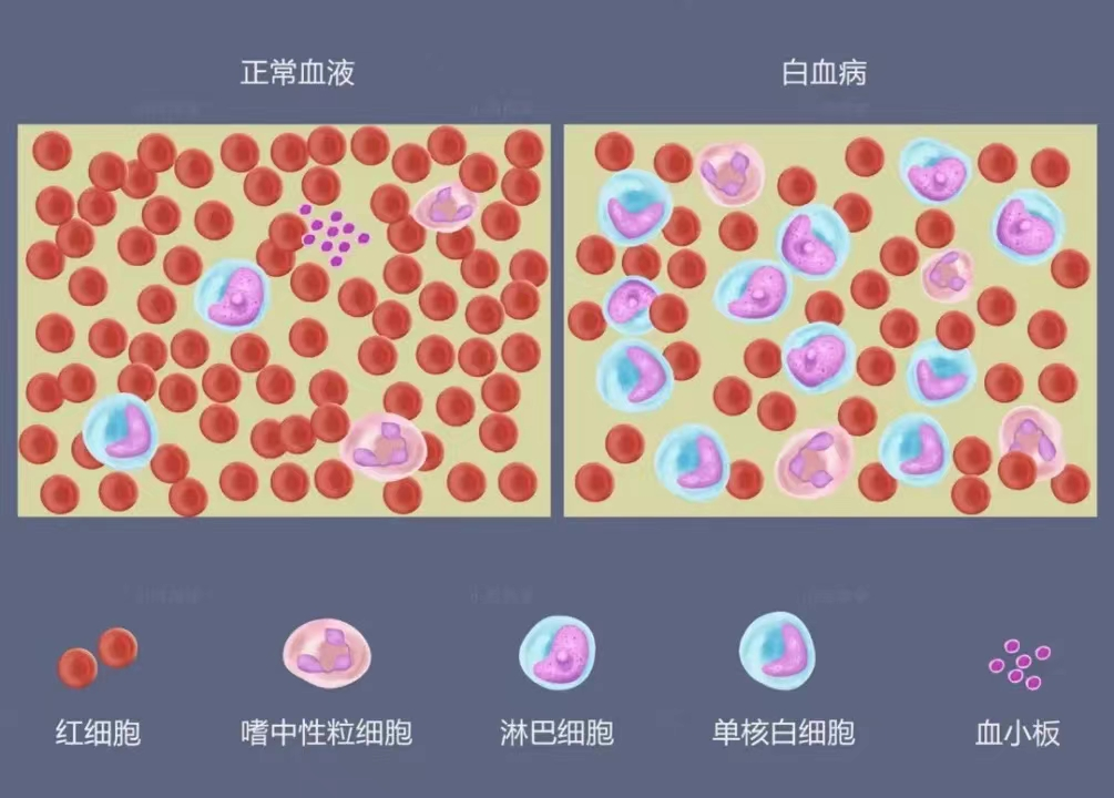 圖片2.png